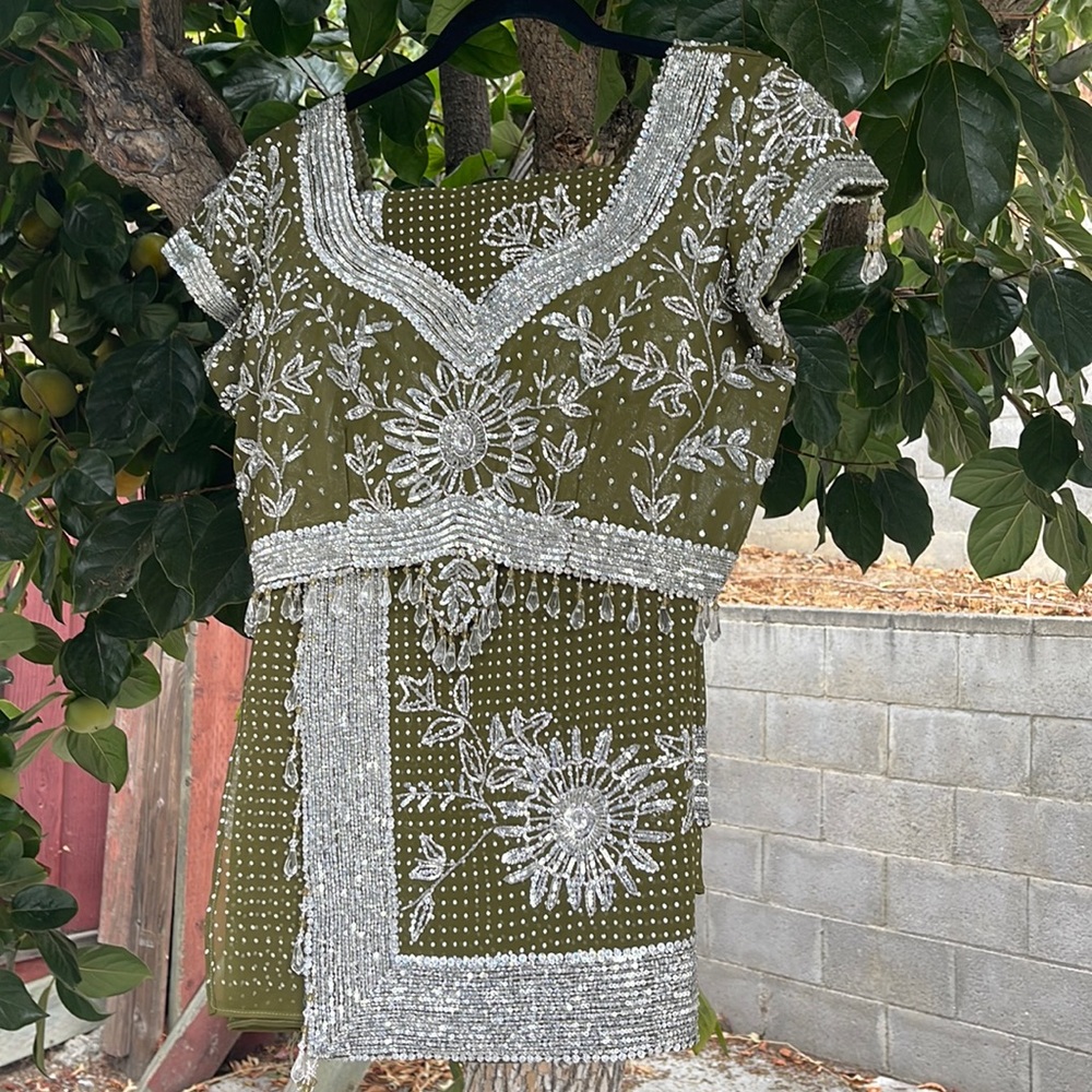 Embellished saree